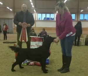 Läs mer om artikeln Rättvik November 2019 – 2 dagar