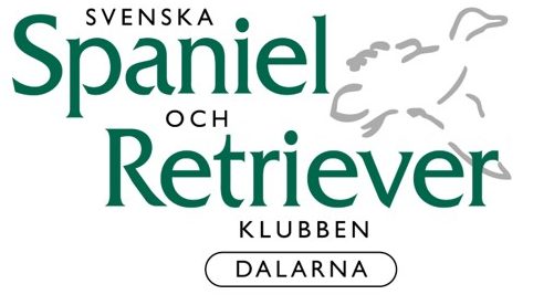 Läs mer om artikeln Klubbkläder SSRK Dalarna