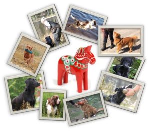 Läs mer om artikeln Fira 30 År – Avdelning – Uppdaterat