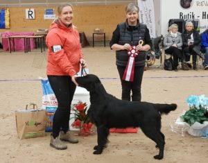 Läs mer om artikeln Rättvik Lördag 10 Nov