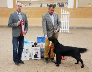 Läs mer om artikeln Rättvik Söndag 11 Nov