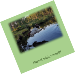 Läs mer om artikeln Spanielträningar Vår 2019