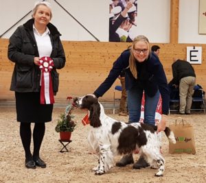 Läs mer om artikeln Utställning Rättvik 2021