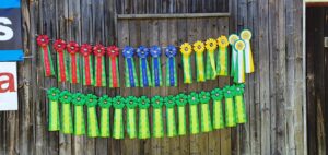 Läs mer om artikeln Utveckling mot elitspår 2022 (Bjursås)