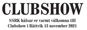 Läs mer om artikeln Club Show 2021