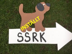 Läs mer om artikeln Vinterträning Lisselhaga