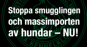 Läs mer om artikeln Uppropet mot hundsmuggling och massimport
