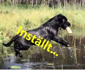 Läs mer om artikeln SSRK Dalarnas lagtävling