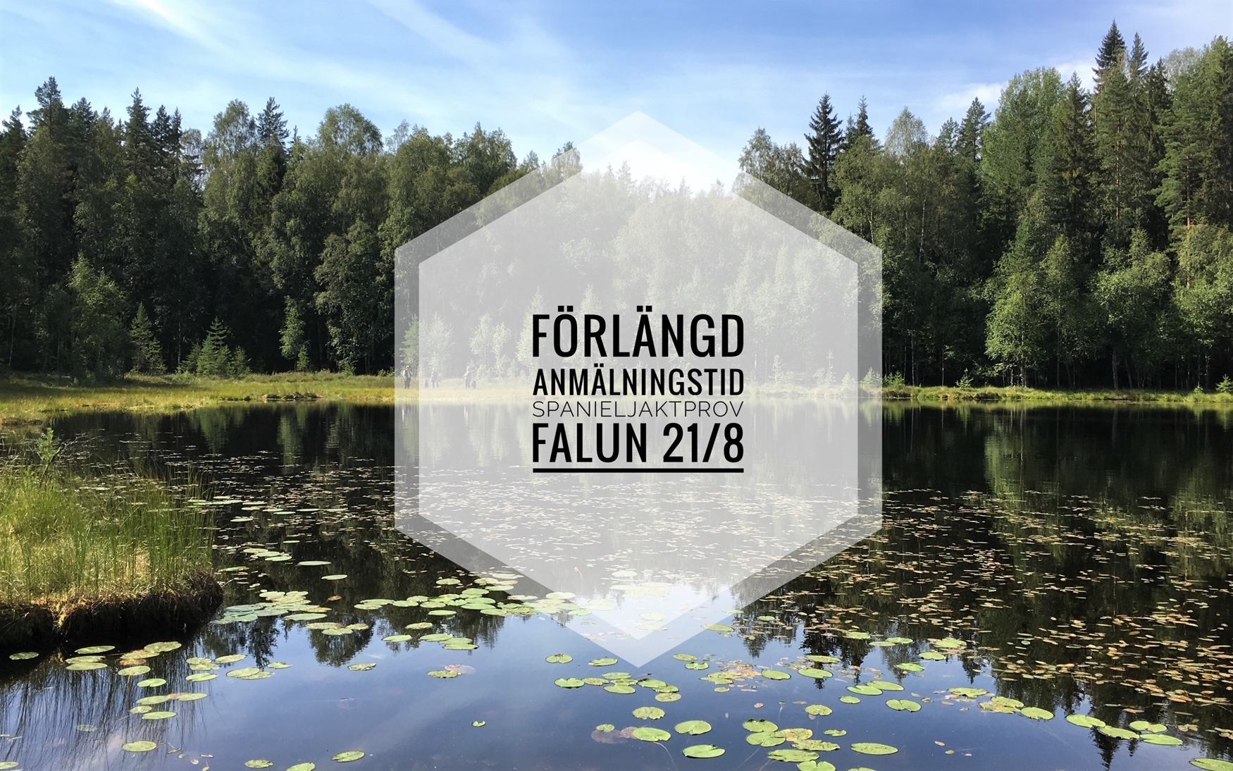 Läs mer om artikeln Förlängd anmälan Spanielprov Falun