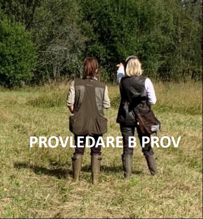 Du visar för närvarande Utbildning – Provledare retrieverprov B