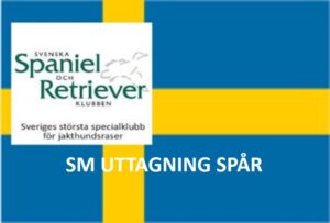 Läs mer om artikeln Avdelningsuttagningen till Viltspårsmästerskapet 2022