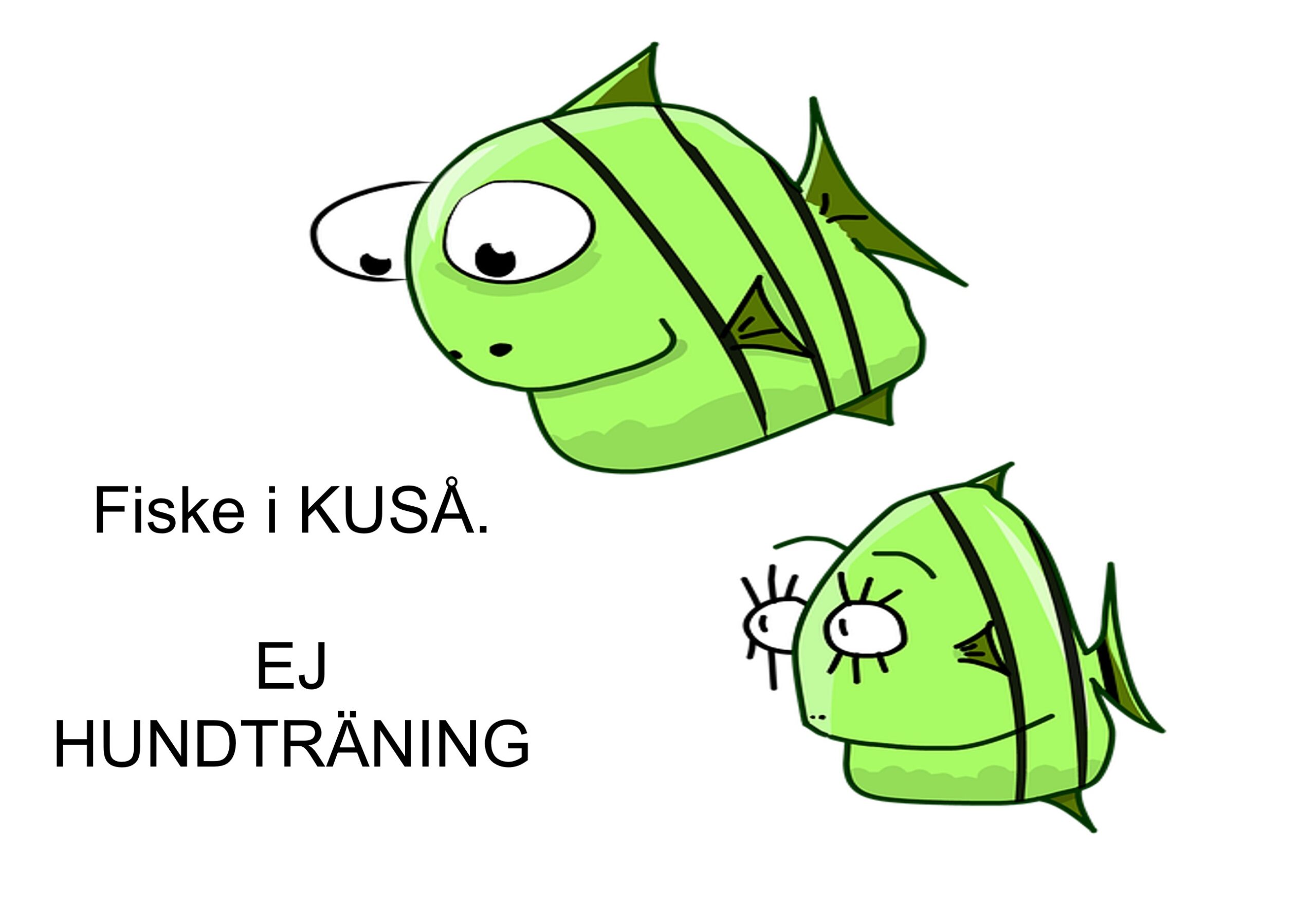 Du visar för närvarande Fiske Kuså 2/7