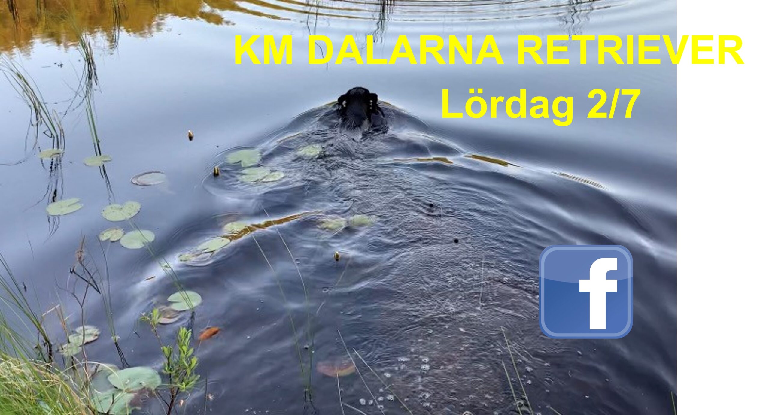 Läs mer om artikeln KM Retriever 2022