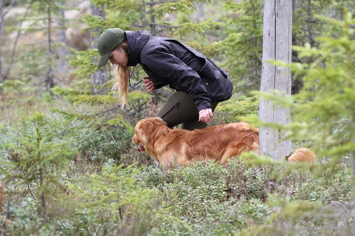 Du visar för närvarande Tollingjaktprov SSRK Dalarna