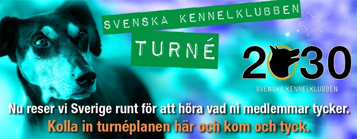 Läs mer om artikeln SKK ”ON tour”