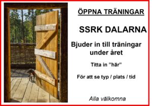 Läs mer om artikeln Öppen träning 10 Maj