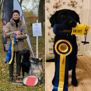 Läs mer om artikeln Seareeds Black Milton