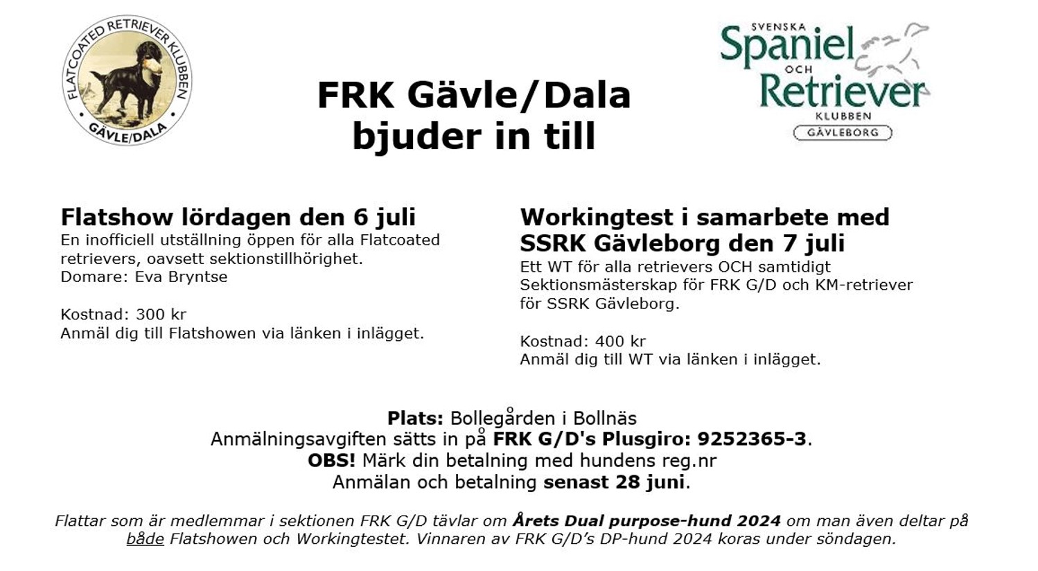 Läs mer om artikeln Workingtest Bollnäs