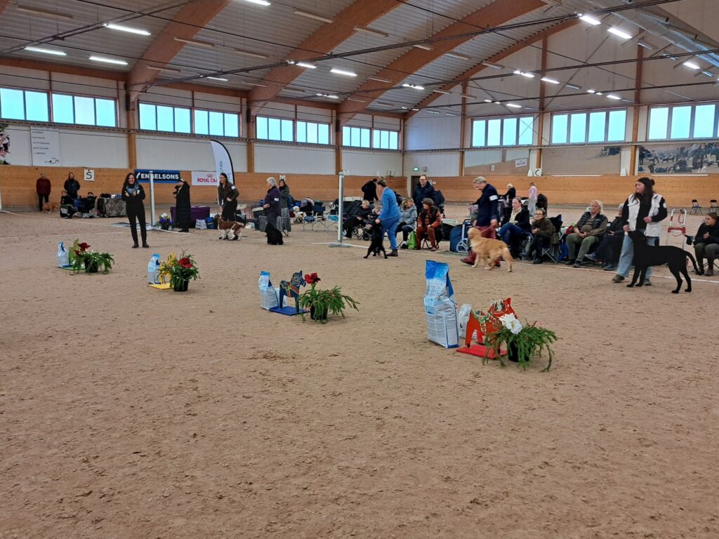 Du visar för närvarande Domare utställning 2027